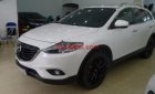 Mazda CX 9 2014 - Bán Mazda CX 9 sản xuất 2014, màu trắng, xe nhập  