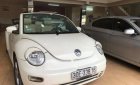 Volkswagen Beetle 2.5 2004 - Cần bán xe Volkswagen Beetle 2.5 2004, màu nâu, xe nhập, 360tr
