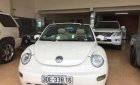 Volkswagen Beetle 2.5 2004 - Cần bán xe Volkswagen Beetle 2.5 2004, màu nâu, xe nhập, 360tr