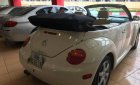 Volkswagen Beetle 2.5 2004 - Cần bán xe Volkswagen Beetle 2.5 2004, màu nâu, xe nhập, 360tr