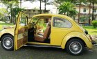 Volkswagen Beetle 1.5 1980 - Bán Volkswagen Beetle năm sản xuất 1980, màu vàng, xe nhập