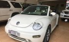 Volkswagen Beetle 2.5 2004 - Cần bán xe Volkswagen Beetle 2.5 2004, màu nâu, xe nhập, 360tr