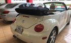 Volkswagen Beetle 2.5 2004 - Cần bán xe Volkswagen Beetle 2.5 2004, màu nâu, xe nhập, 360tr