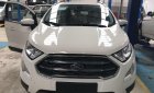 Ford EcoSport Titanium 1.5l 2018 - Bán Ford Ecosport Titanium 1.5l, chỉ 100tr nhận xe ngay, hỗ trợ thủ tục, K/M phụ kiện bảo hiểm, tiền mặt