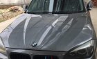 BMW X1 sDrive18i 2010 - Bán BMW X1 sDrive18i năm 2010, màu xám, xe nhập