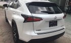 Lexus NX 2016 - Giao ngay xe mới nhập khẩu Mỹ Lexus NX200T - Fsport, giấy tờ đầy đủ