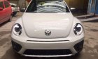 Volkswagen Beetle 2017 - Cần bán xe Volkswagen Beetle năm sản xuất 2017, màu trắng, nhập khẩu