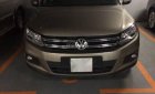Volkswagen Tiguan 2.0 TSI  2016 - Bán Volkswagen Tiguan 2.0 TSI 4 motion năm sản xuất 2016, màu xám (ghi), nhập khẩu nguyên chiếc