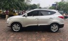 Hyundai Tucson LX 2.0 eVGT 2010 - Bán xe Hyundai Tucson LX 2.0 eVGT sản xuất năm 2010, màu bạc, nhập khẩu, 610 triệu