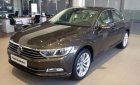 Volkswagen Passat 1.8 Bluemotion 2017 - Cần bán xe Volkswagen Passat 1.8 Bluemotion năm 2017, màu nâu, xe nhập