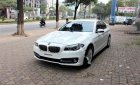 BMW 5 Series 520i 2015 - Bán BMW 5 Series 520i sản xuất năm 2015, màu trắng, nhập khẩu