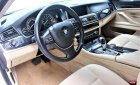 BMW 5 Series 520i 2015 - Bán BMW 5 Series 520i sản xuất năm 2015, màu trắng, nhập khẩu