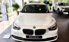 BMW 5 Series Sedan 2017 - Bán BMW 5 Series Sedan sản xuất 2017, màu trắng, xe nhập