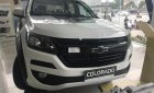 Chevrolet Colorado LT 2.5L 4x2 MT 2018 - Bán Chevrolet Colorado LT 2.5L 4x2 MT 2018, màu trắng, xe nhập 