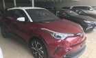 Toyota IQ Mới   CHR 2018 - Xe Mới Toyota IQ CHR 2018