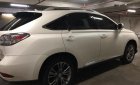 Lexus RX 2009 - Bán Lexus RX sản xuất 2009, màu trắng, nhập khẩu nguyên chiếc