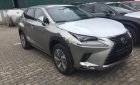 Lexus NX 300 2018 - Bán xe Lexus NX 300 sản xuất 2018, màu bạc, nhập khẩu