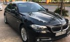 BMW 5 Series 520i 2014 - Bán BMW 5 Series 520i năm 2014, màu đen, xe nhập