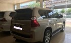 Lexus GX 460 2010 - Bán xe Lexus GX 460 2010, màu vàng, xe nhập