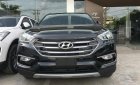 Hyundai Santa Fe 2018 - Cần bán xe Hyundai Santa Fe 2018 full dầu đặc biệt, màu đen