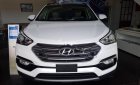 Hyundai Santa Fe 2018 - Cần bán xe Hyundai Santa Fe đời 2018, màu trắng