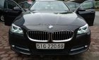 BMW 5 Series 520i 2016 - Bán BMW 5 Series 520i năm 2016, màu đen, nhập khẩu nguyên chiếc