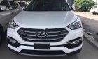 Hyundai Santa Fe 2018 - Cần bán xe Hyundai Santa Fe đời 2018, màu trắng