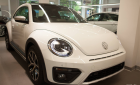 Volkswagen New Beetle Dune 2018 - Bán xe Volkswagen New Beetle Dune đời 2018, màu trắng, nhập khẩu