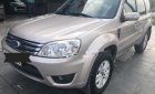 Ford Escape 2009 - Bán xe Ford Escape sản xuất năm 2009, màu hồng phấn