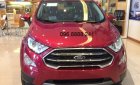 Ford EcoSport 2018 - Bán xe Ford Ecosport 2018, suất mua dành cho nhân viên