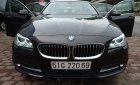 BMW 5 Series 520I 2016 - Cần bán BMW 5 Series 520I đời 2016, màu nâu, nhập khẩu