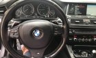 BMW 5 Series 520i 2012 - Cần bán xe BMW 5 Series 520i sản xuất 2012, màu xám, nhập khẩu