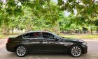 BMW 5 Series 520i 2014 - Cần bán xe BMW 5 Series 520i 2014, màu nâu, xe nhập