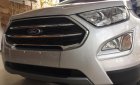 Ford EcoSport Titanium 2018 - Ford Ecosport 2018 Titanium đủ màu giao ngay. Hỗ trợ vay 80%. LH: 090.217.2017