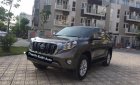 Toyota Prado TXL 2.7L 2016 - Bán Toyota Prado TXL 2.7L đời 2016, màu nâu, nhập khẩu nguyên chiếc số tự động