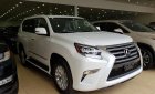 Lexus GX 460 2010 - Cần bán Lexus Gx460 sản xuất 2010 ,đã lên model 2015