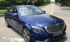 Mercedes-Benz C class 2017 - Bán xe Mercedes năm sản xuất 2017, màu xanh lam như mới