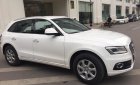 Audi Q5 2015 - Cần bán xe Audi Q5 đời 2016, màu đen, nhập khẩu