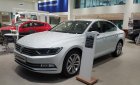 Volkswagen Passat 2017 - Bán xe Volkswagen Passat Blue Motion nhập khẩu, hỗ trợ trả góp 80% giá trị xe