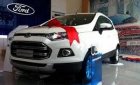 Ford EcoSport 2015 - Cần bán lại xe Ford EcoSport đời 2015, màu trắng, 465tr
