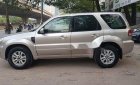 Ford Escape 2008 - Bán xe Ford Escape 2008, màu vàng cát