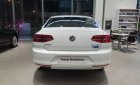 Volkswagen Passat 2017 - Bán xe Volkswagen Passat Blue Motion nhập khẩu, hỗ trợ trả góp 80% giá trị xe