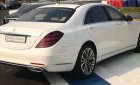 Mercedes-Benz S class S450 Luxury 2018 - Bán Mercedes S450 Luxury xuất hiện tại thị trường Việt Nam, đẳng cấp