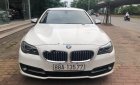 BMW 5 Series 520i 2016 - Cần bán lại xe BMW 5 Series 520i đời 2016, màu trắng, nhập khẩu