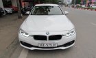 BMW 3 Series 320i 2016 - Bán BMW 3 Series 320i đời 2016, màu trắng, nhập khẩu nguyên chiếc số tự động