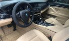 BMW 5 Series 520i 2016 - Cần bán lại xe BMW 5 Series 520i đời 2016, màu trắng, nhập khẩu
