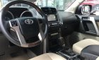 Toyota Prado 2009 - Cần bán xe Toyota Prado sản xuất năm 2009, màu vàng, nhập khẩu