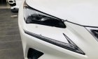 Lexus NX  300 2017 - Bán Lexus NX 300 sản xuất 2017, màu trắng, xe nhập  