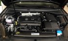 Volkswagen Passat 1.8 Bluemotion 2017 - Bán Volkswagen Passat 1.8 Bluemotion sản xuất 2017, màu đen, nhập khẩu
