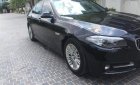 BMW 5 Series 520i 2015 - Bán ô tô BMW 5 Series 520i năm 2015, màu đen, xe nhập